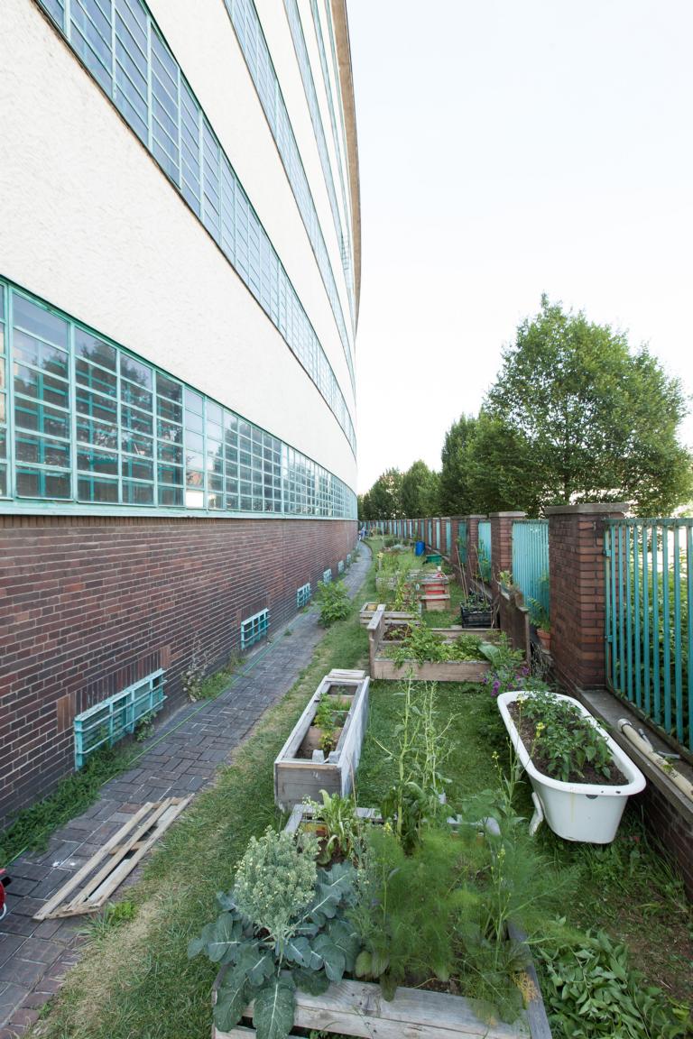 verschiedene Gartenbeete wie zum Beispiel Badewanne oder alter Kasten mit Außemauer Tabakfabrik Linz